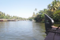 House boats on the backwaters