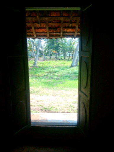 View from house onto land